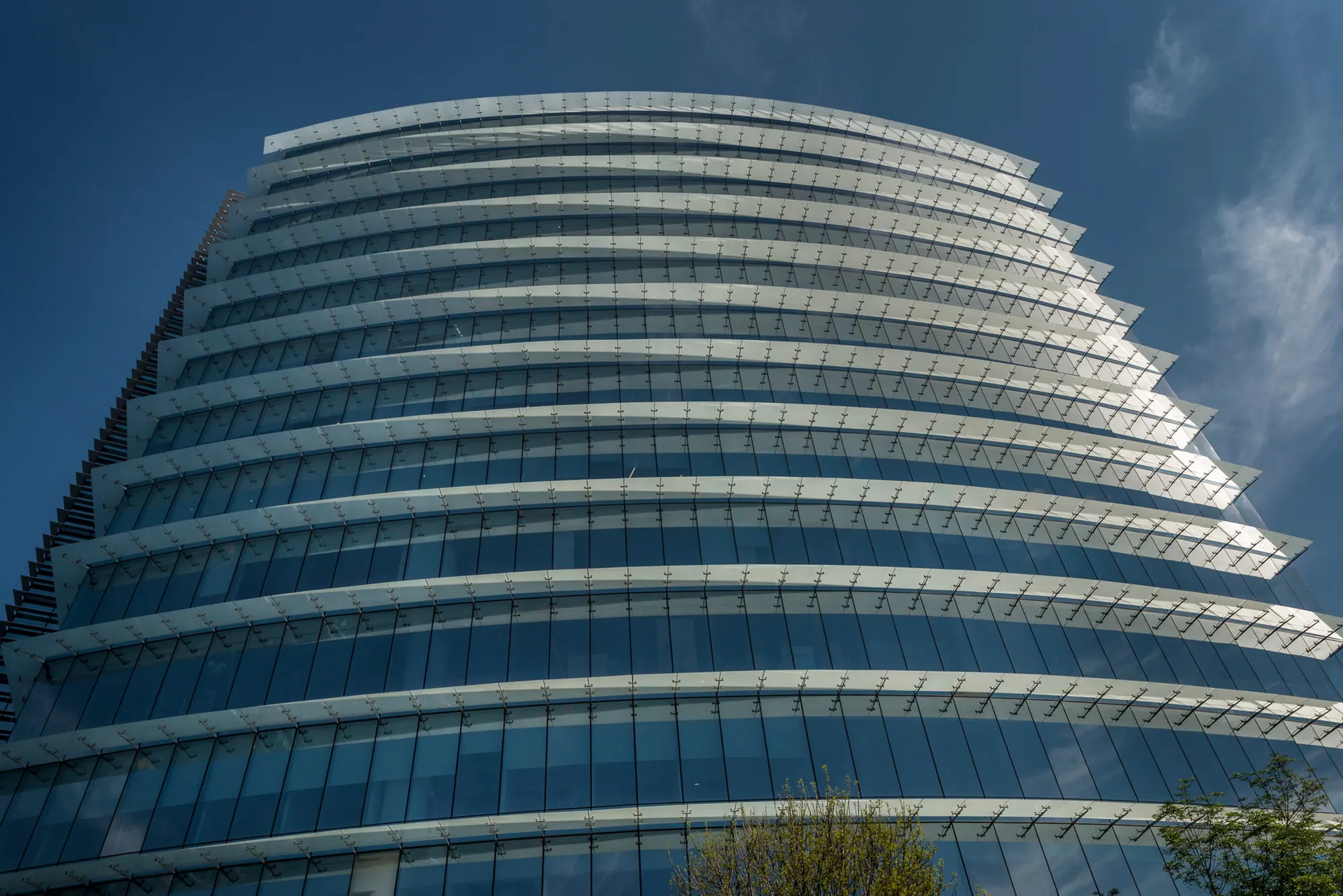 Element Corporativo