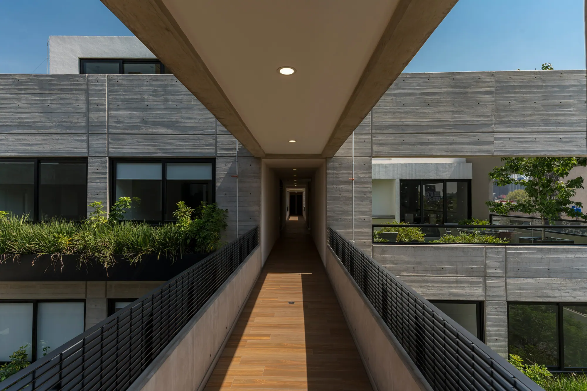 Element Roma