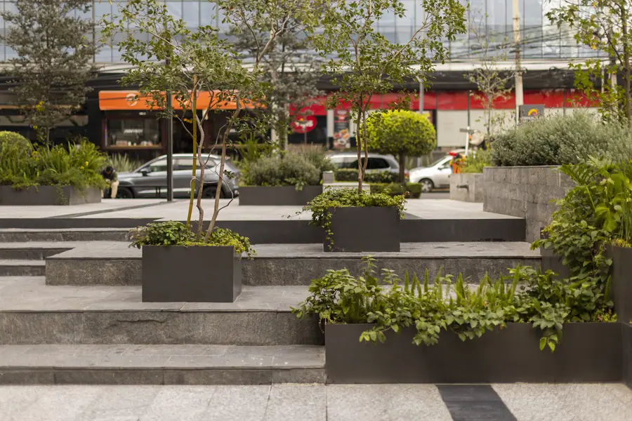 Plaza Polanco, exteriores, Polanco. Fotografía 10 de 13