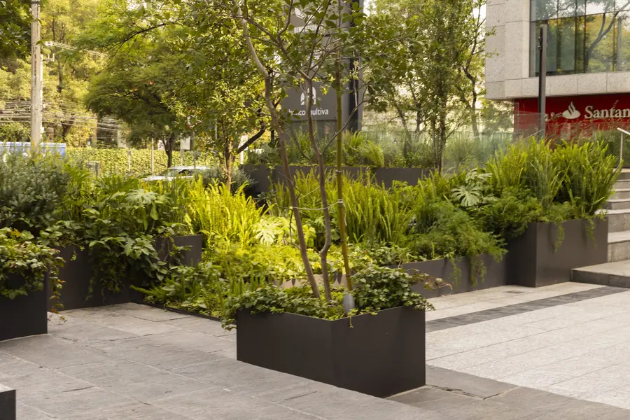 Plaza Polanco, exteriores, Polanco. Fotografía 11 de 13