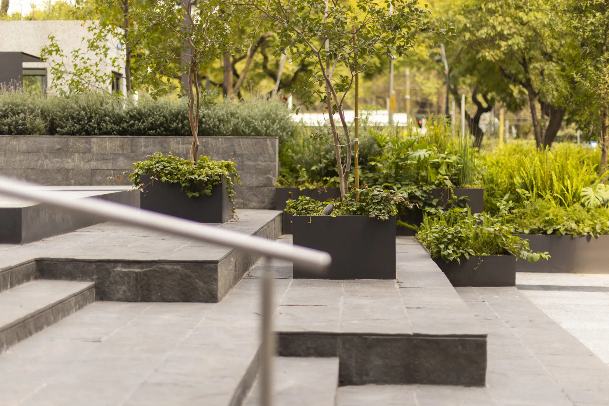 Plaza Polanco, exteriores, Polanco. Fotografía 12 de 13