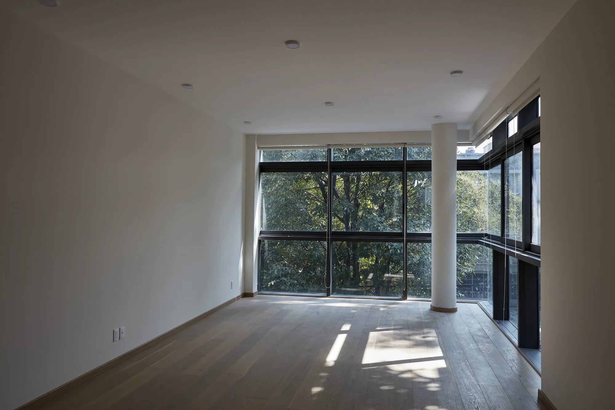 Residencial ES220, Polanco. Photograph 5 of 11
